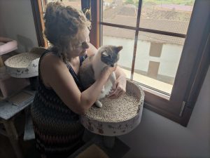 Asociación catsloversrescue de gatos de Cádiz busca casas de acogida para felinos sin hogar