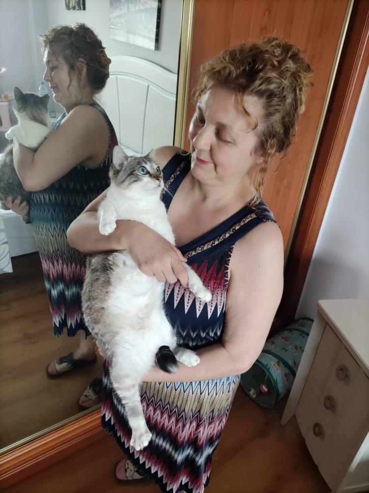 Gato rescatado esperando casa de acogida – Asociación de gatos de Cádiz