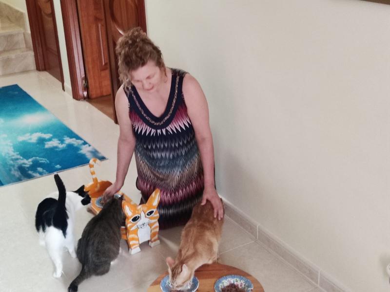 La asociación catsloversrescue de gatos de Cádiz busca casas de acogida para gatitos rescatados