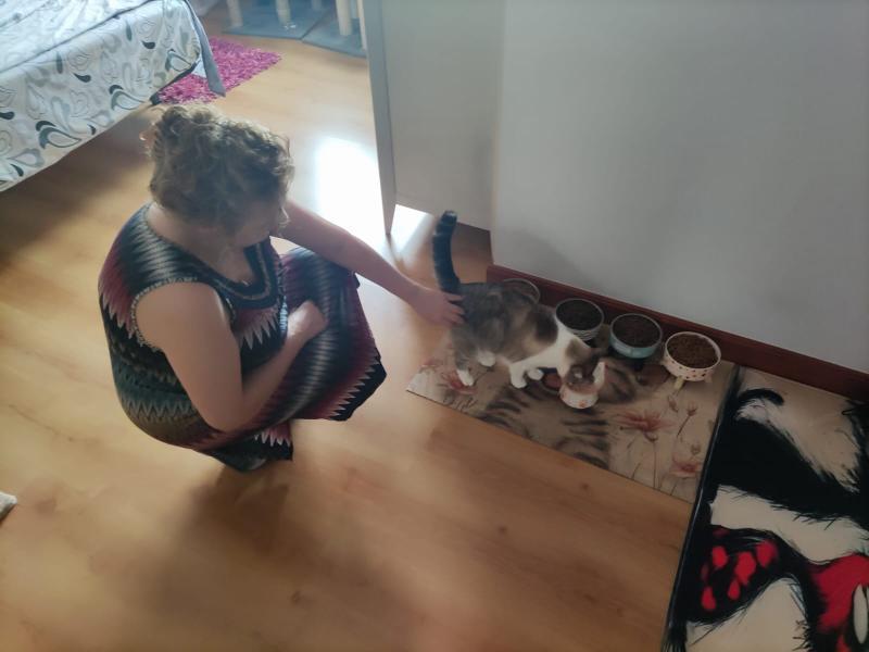 Gatito salvado por casa de acogida – Asociación catsloversrescue