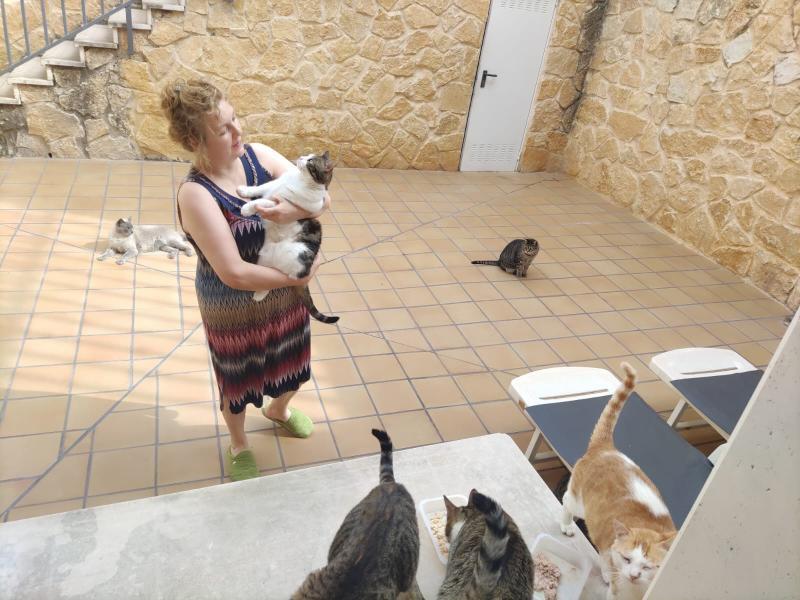 Asociación catsloversrescue de gatos de Cádiz busca casas de acogida por toda España