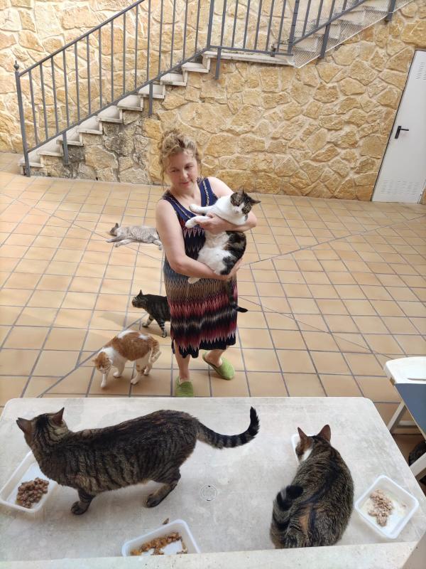 Casa de acogida temporal – Asociación catsloversrescue de gatos de Cádiz busca ayuda
