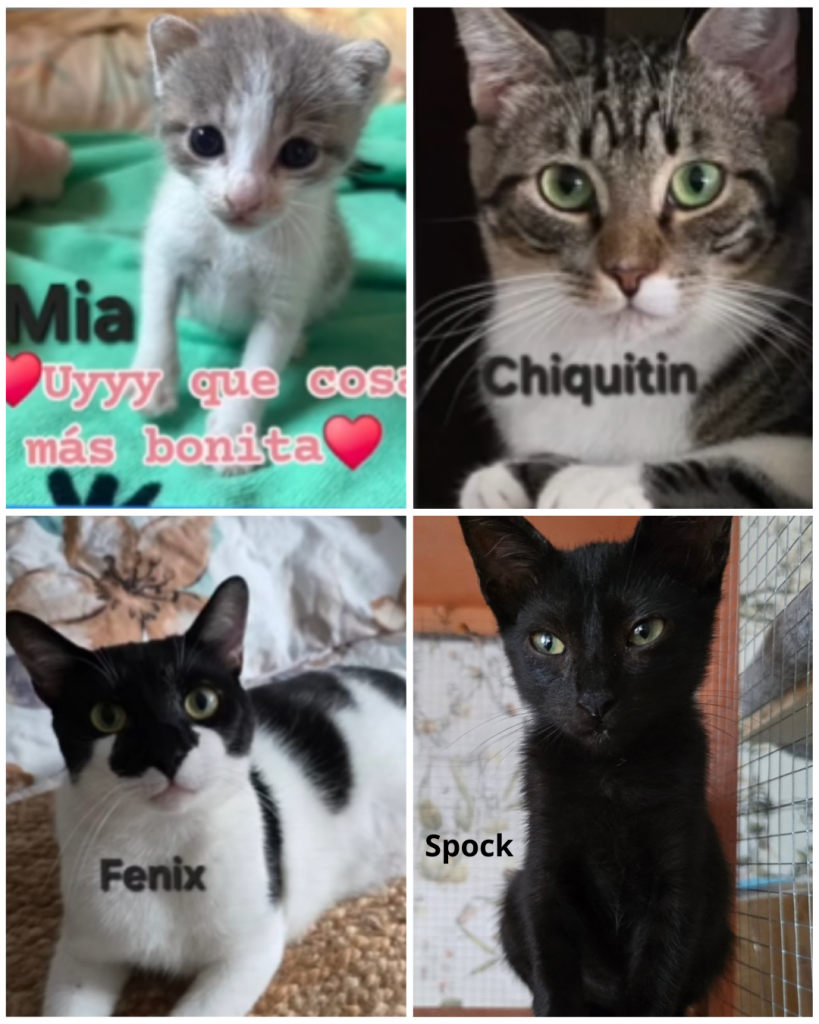 Beige Minimalist Collage Instagram Post