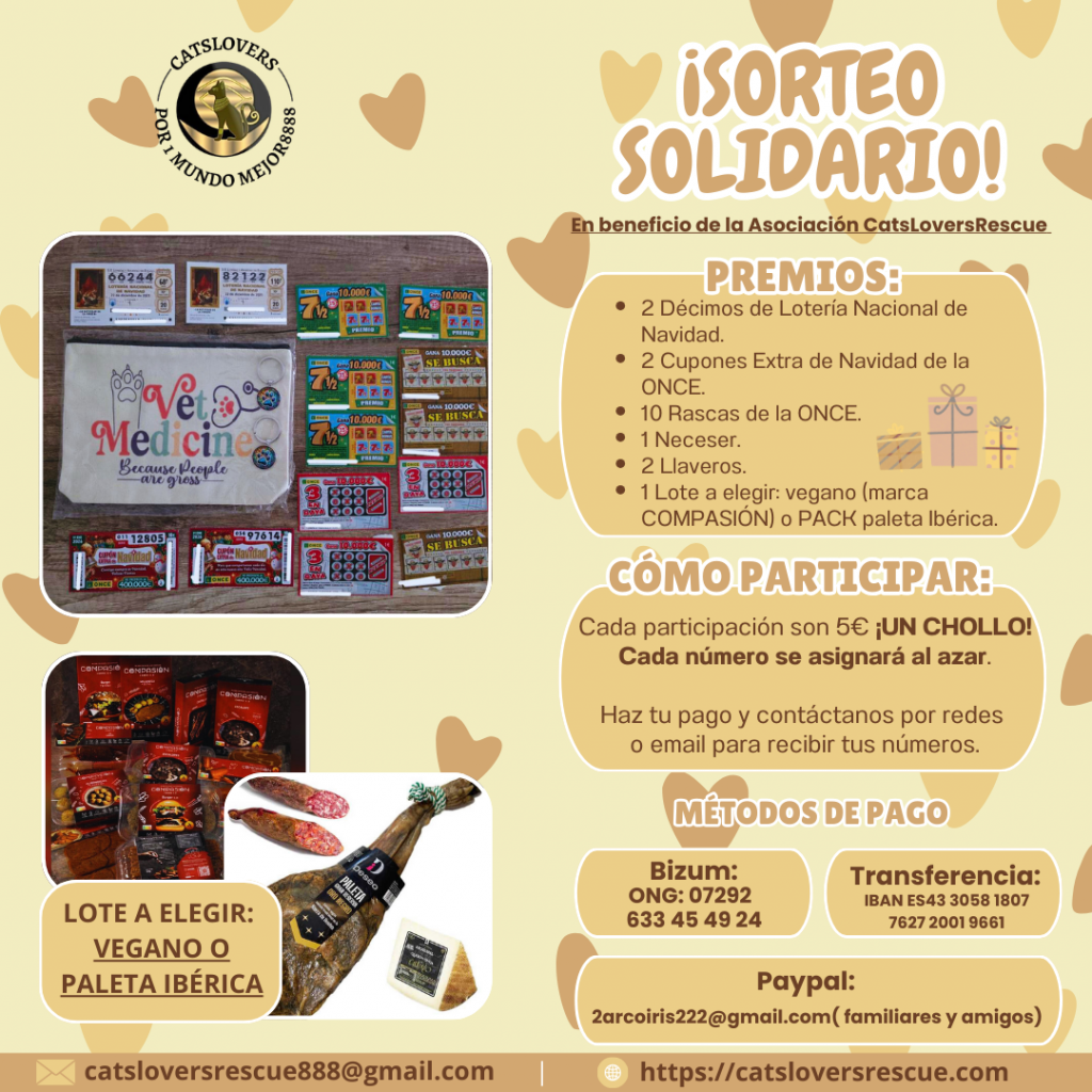 sorteo solidario para los gatos de Cádiz