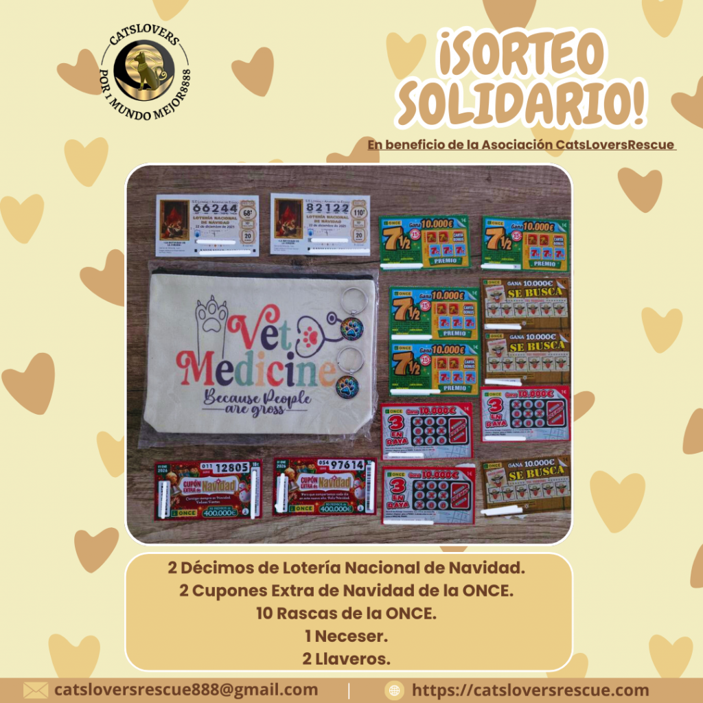 sorteo solidario para los gatos de Cádiz sorteo solidario para los gatos de Cádiz