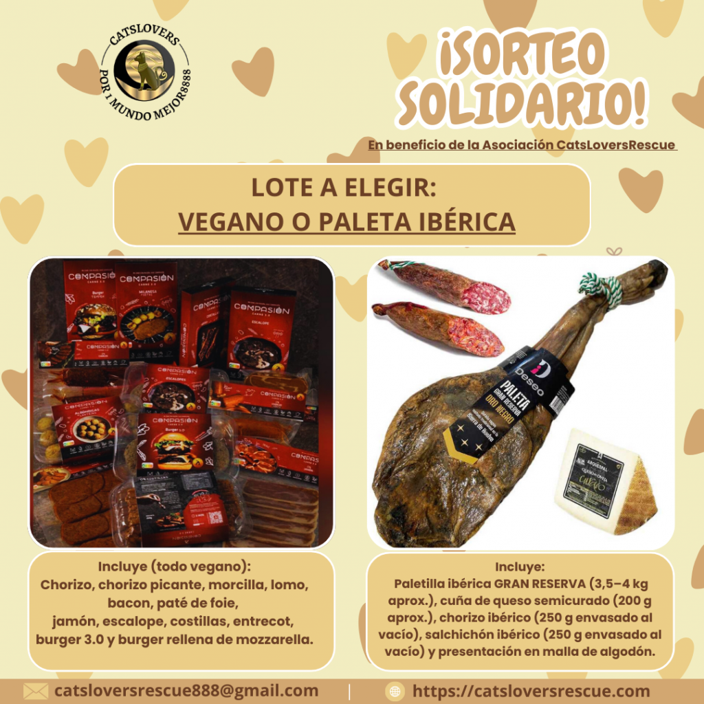sorteo solidario para los gatos de Cádiz sorteo solidario para los gatos de Cádiz