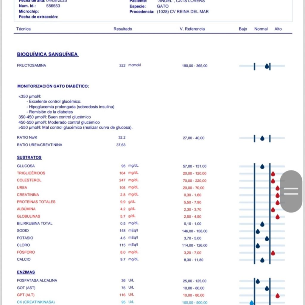 bioquímica sanguínea insuficiencia renal gatos
