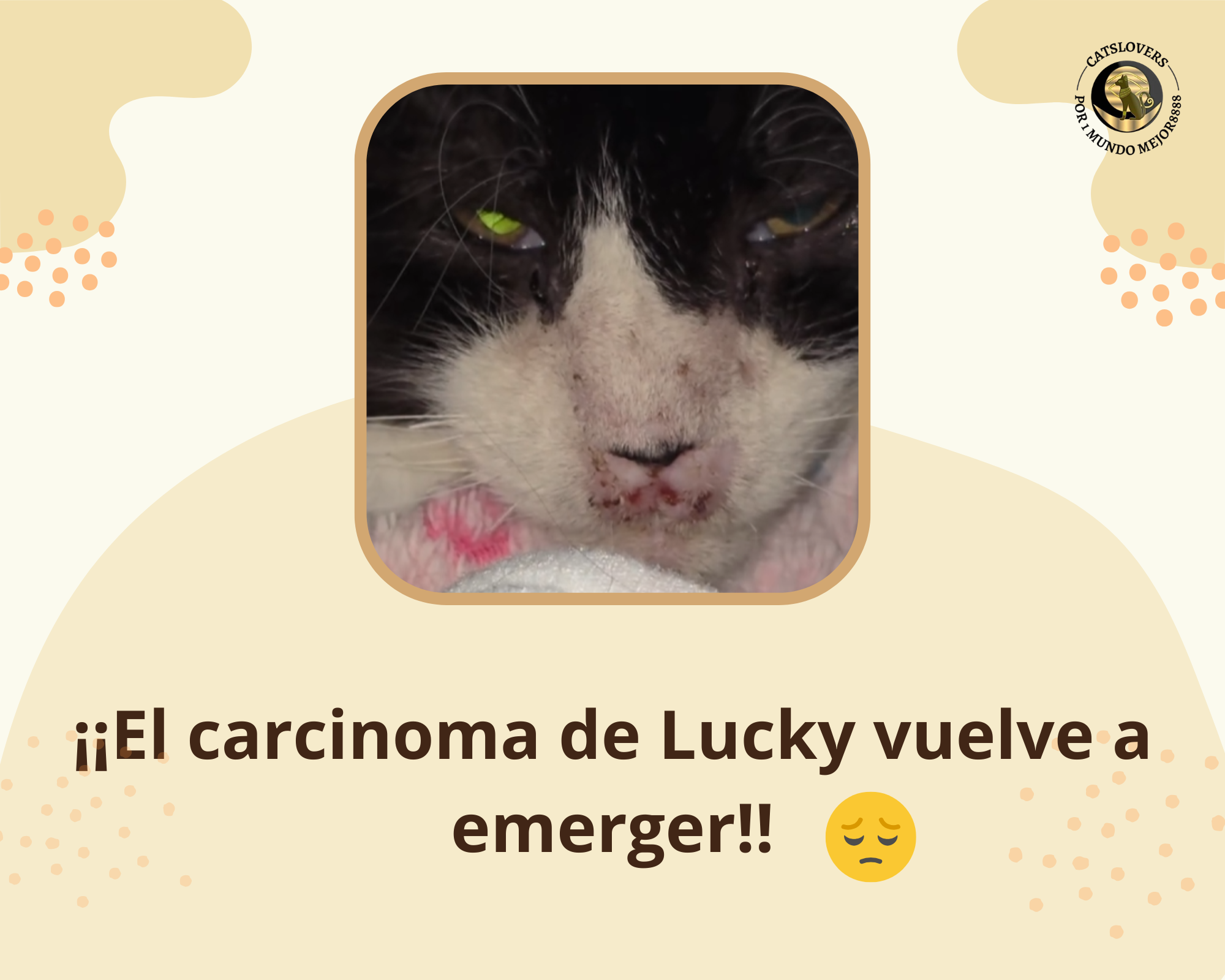 El carcinoma de Lucky vuelve a emerger