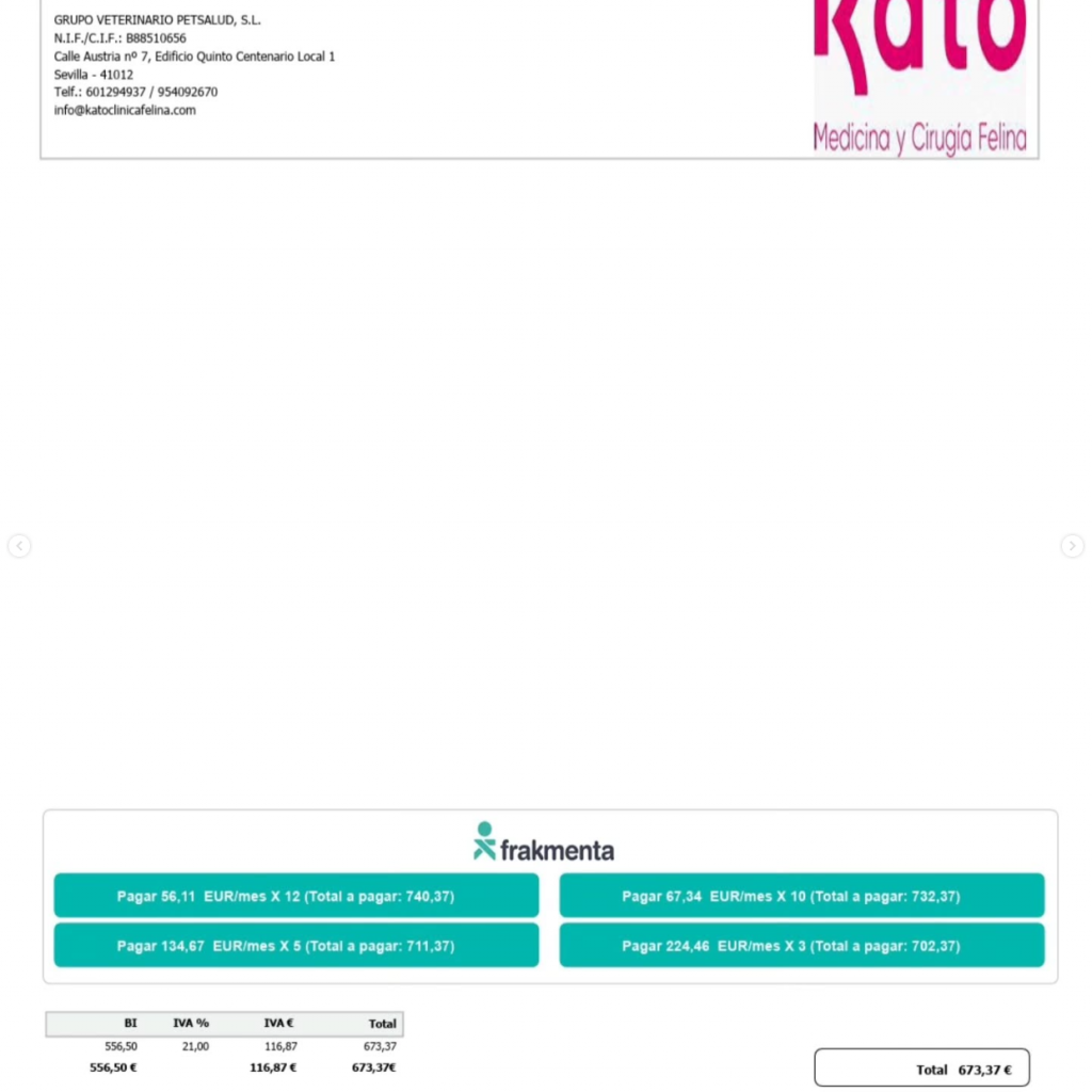 presupuesto July deuda veterinaria gatos presupuesto July deuda veterinaria gatos