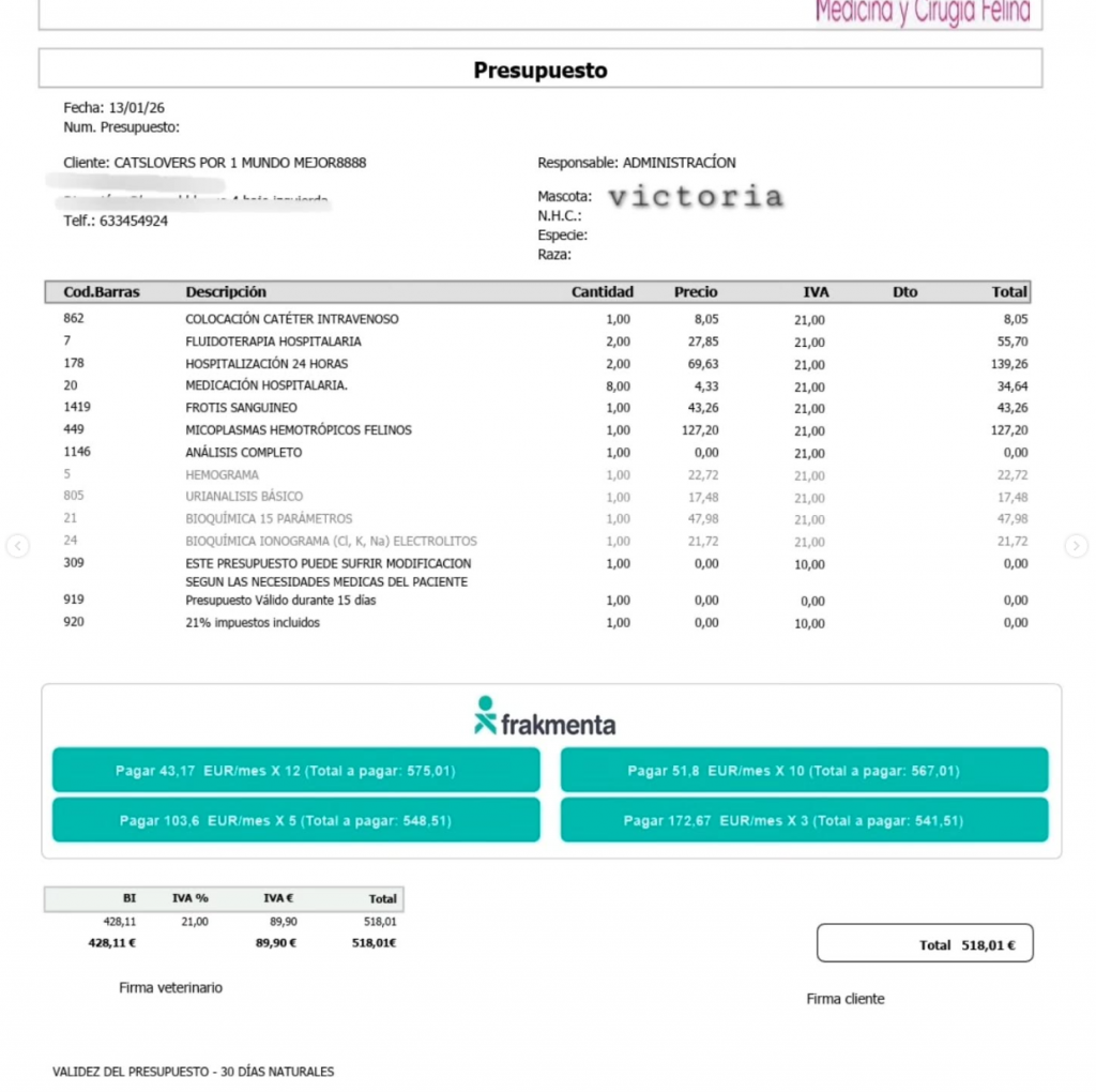presupuesto Victoria ayuda urgente gatos ingresados presupuesto Victoria ayuda urgente gatos ingresados