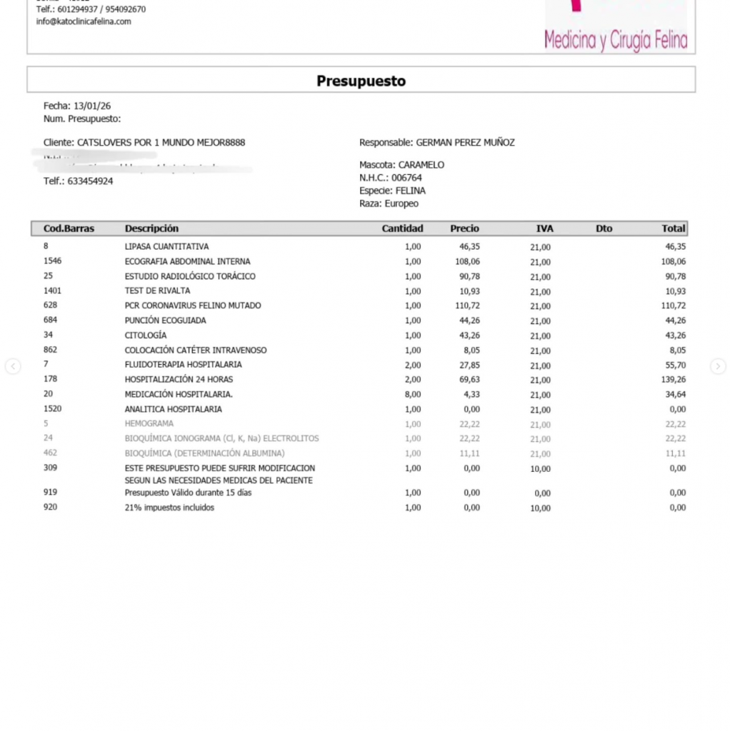 Presupuesto Caramelo gato con PIF Presupuesto Caramelo gato con PIF