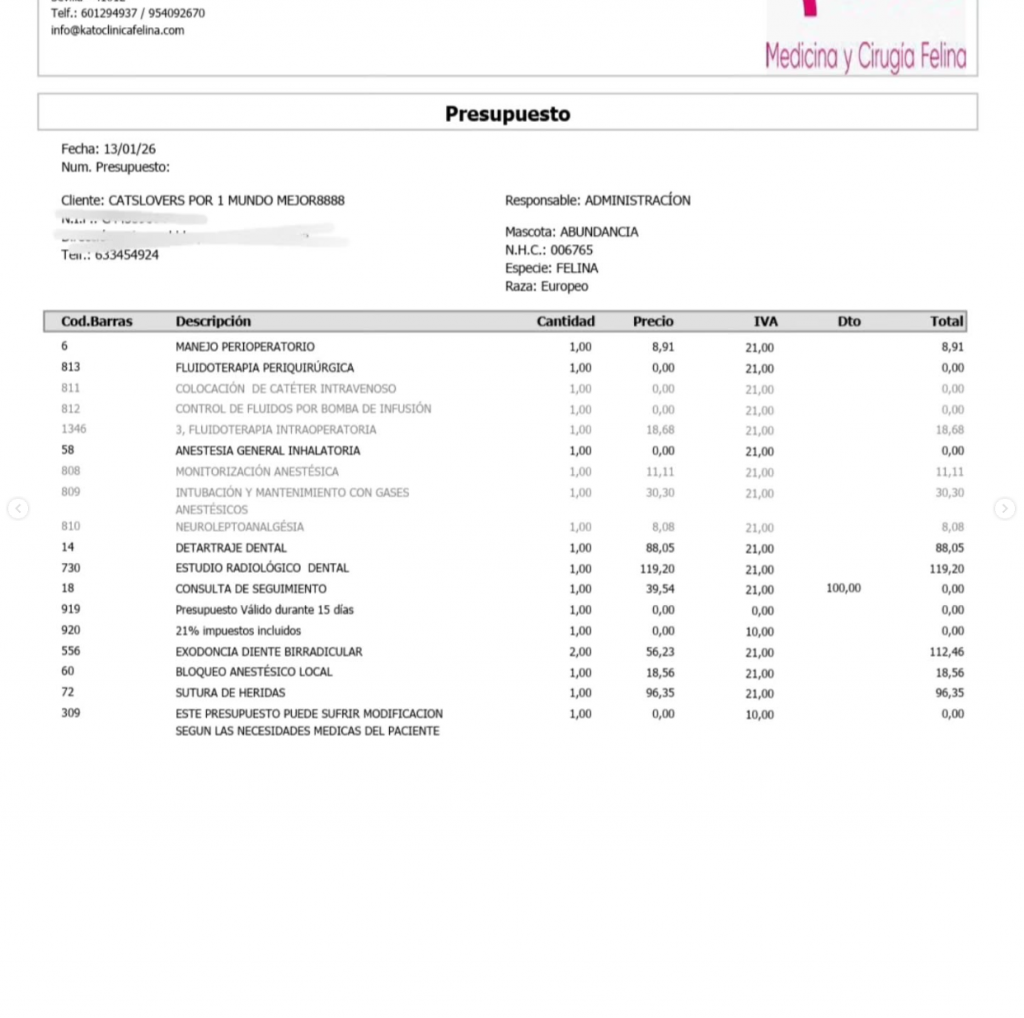presupuesto Abundancia ayuda urgente gatos ingresados presupuesto Abundancia ayuda urgente gatos ingresados