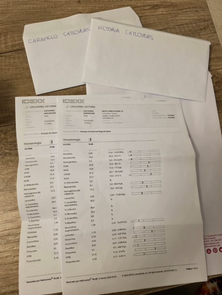 informe de analítica sanguínea veterinaria (hematología) informe de analítica sanguínea veterinaria (hematología)