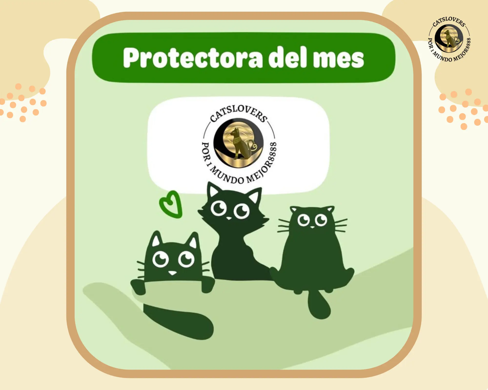 protectora del mes zooplus catsloversrescue