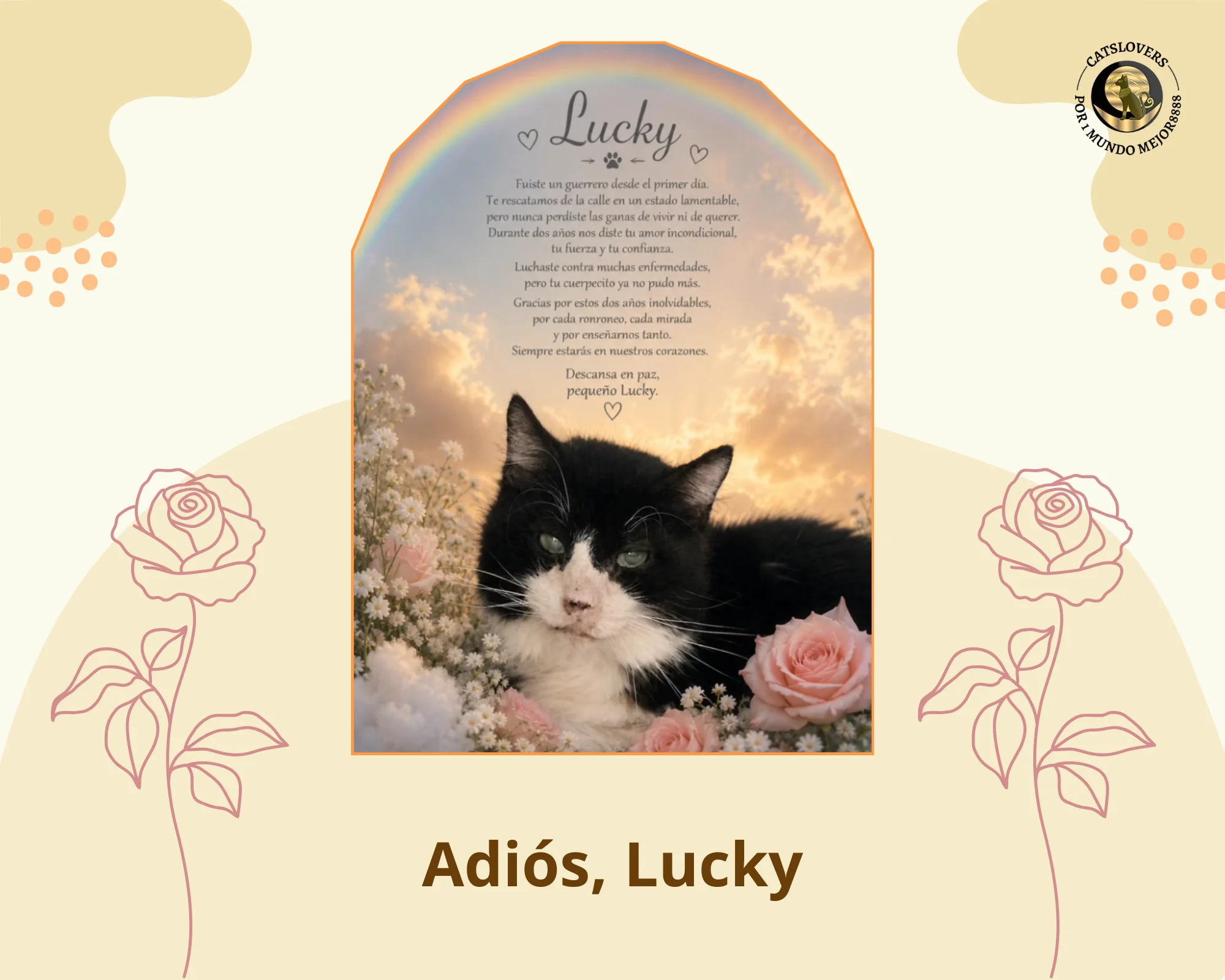 Adiós Lucky