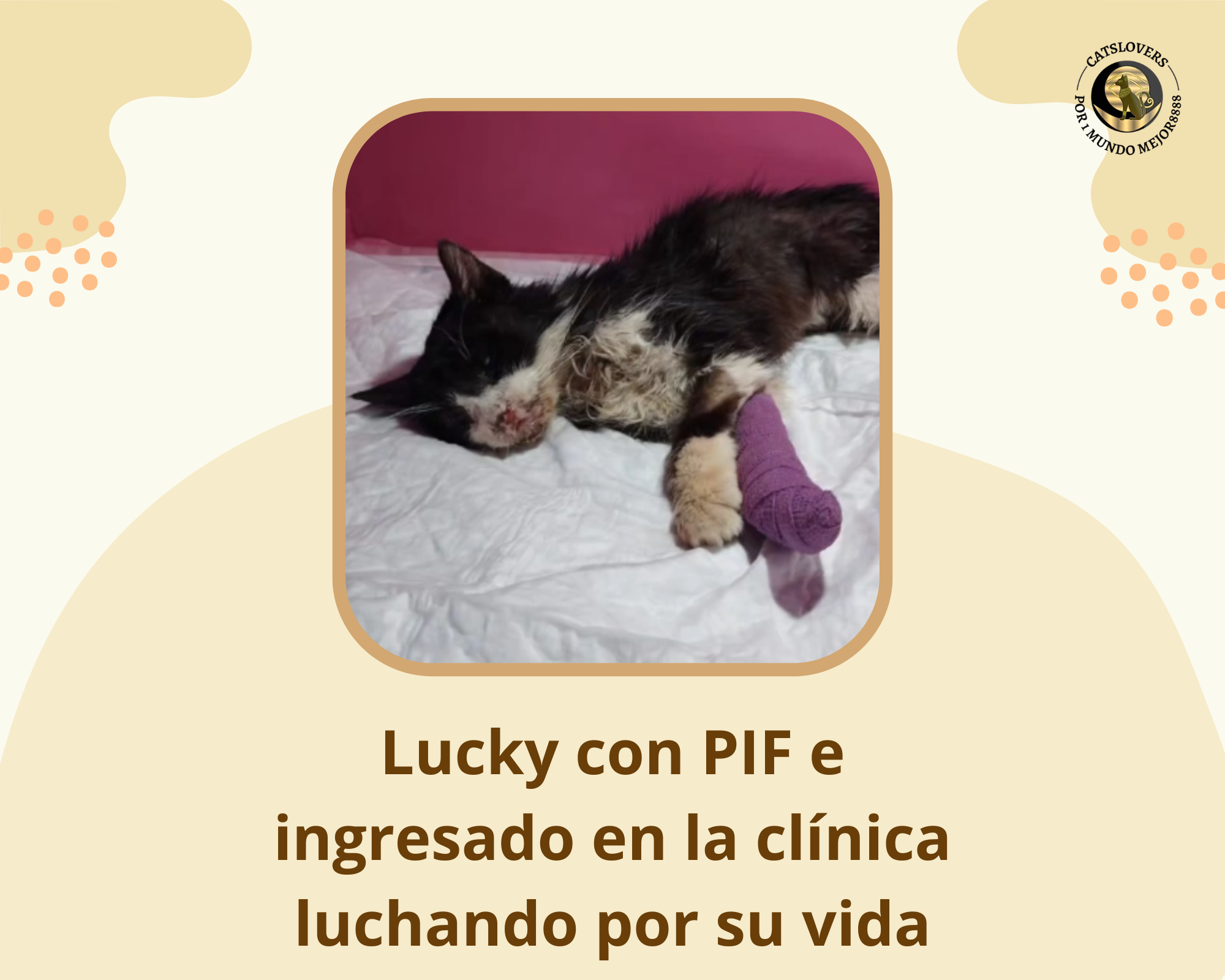 Lucky tiene PIF seco