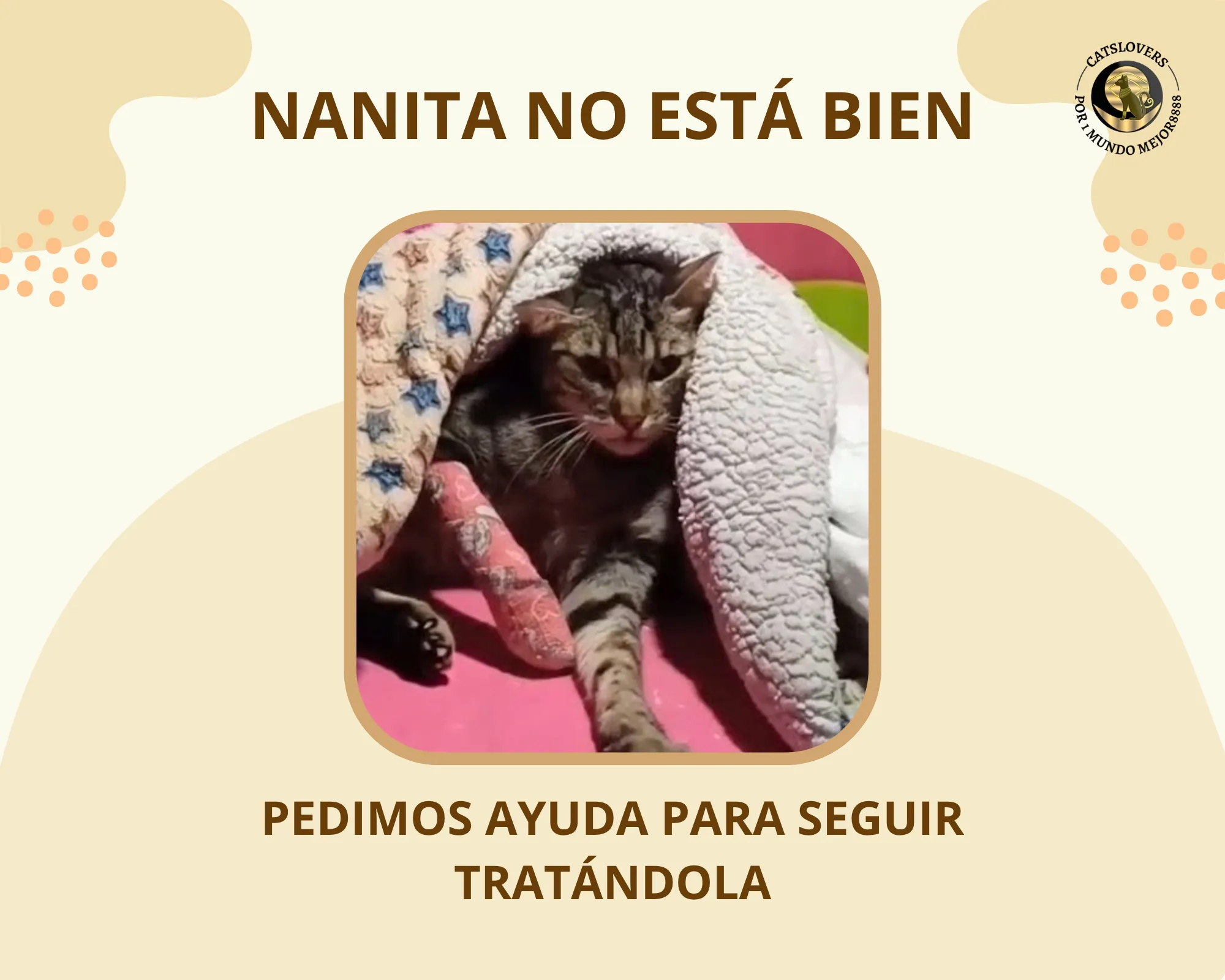 Nanita con linfoma intestinal
